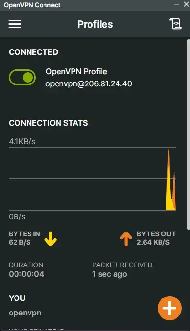 OpenVPN Connect uygulaması yapılandırma yönergesi-4